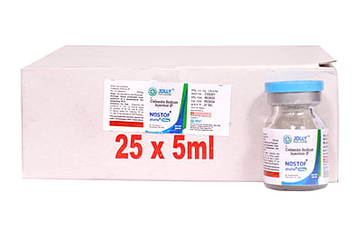 NOSTOF 250 (Cefazoline 250mg Injection)